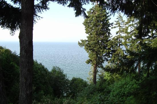 Bahari Bed and Breakfast主图