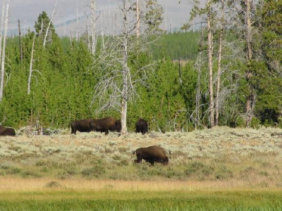 Indian Creek Campground主图