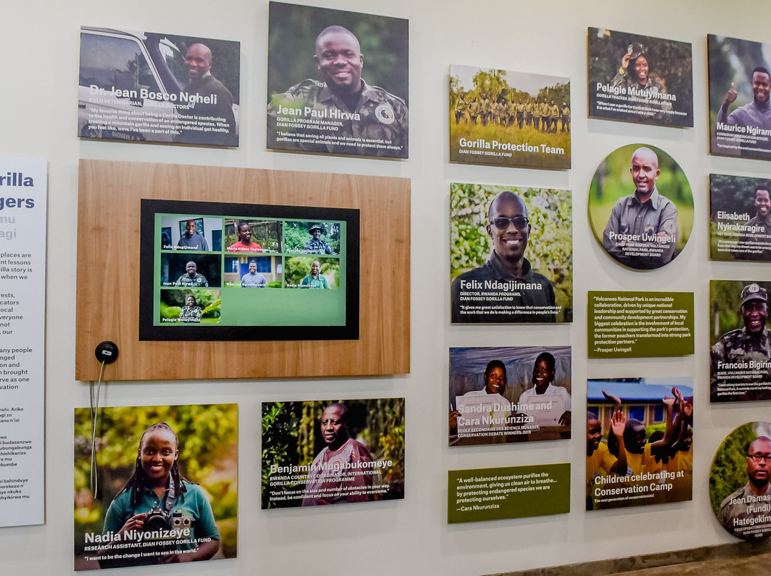 Ellen DeGeneres Campus of the Dian Fossey Gorilla Fund景点图片