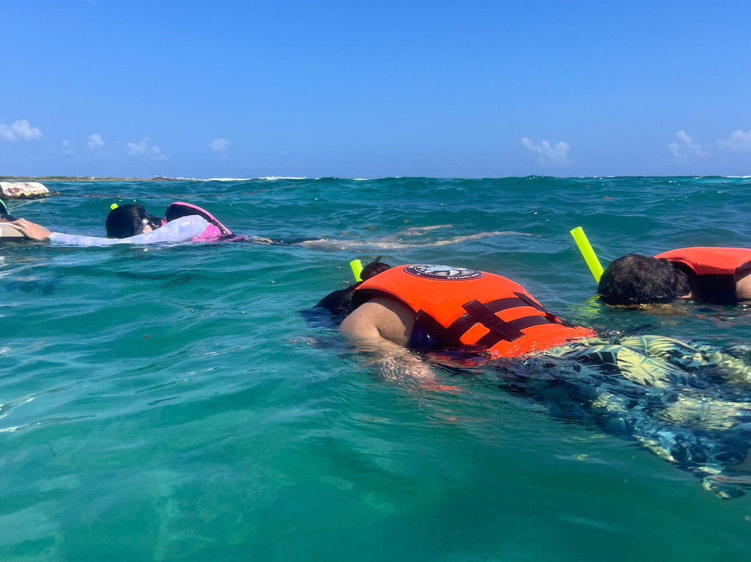 Private Tours Vip-普拉亚德尔卡曼必去景点