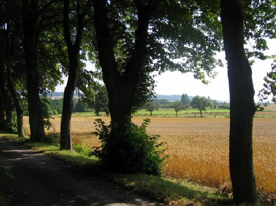 Landgasthaus Nolte主图
