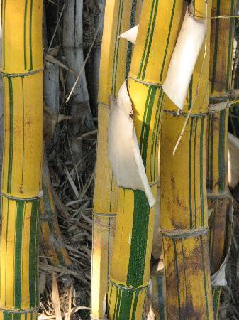 Wayside Guest House主图