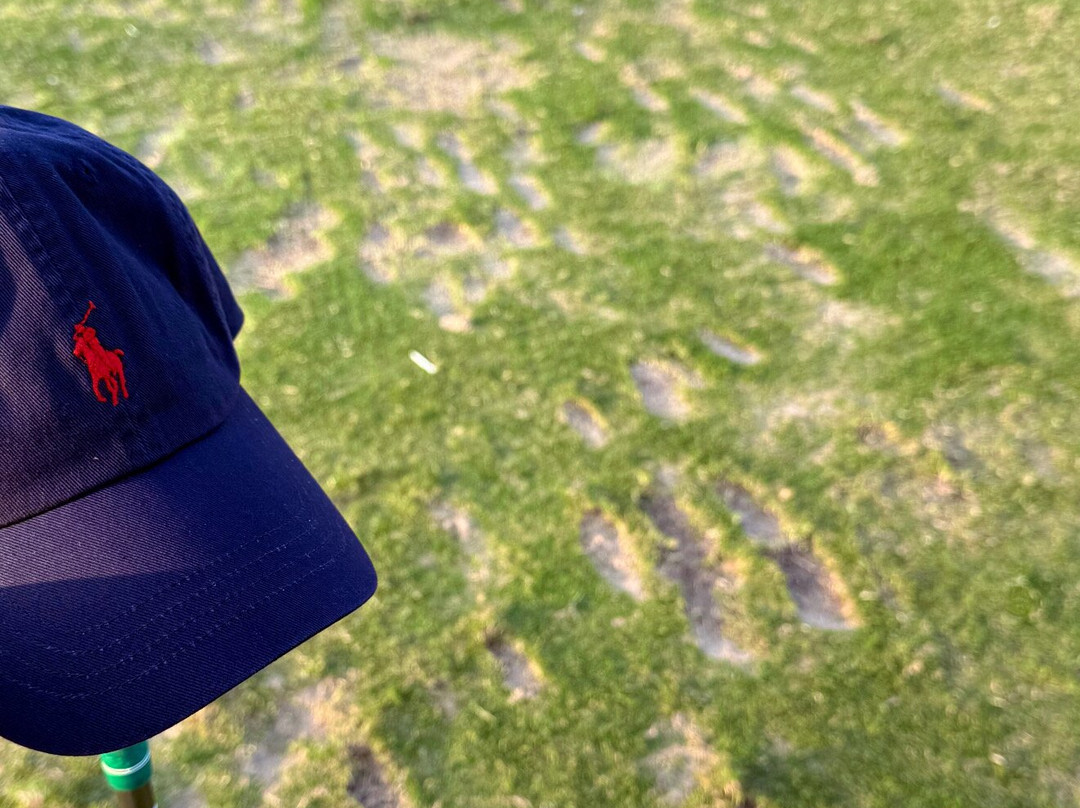 Doha Golf Club-多哈必去景点