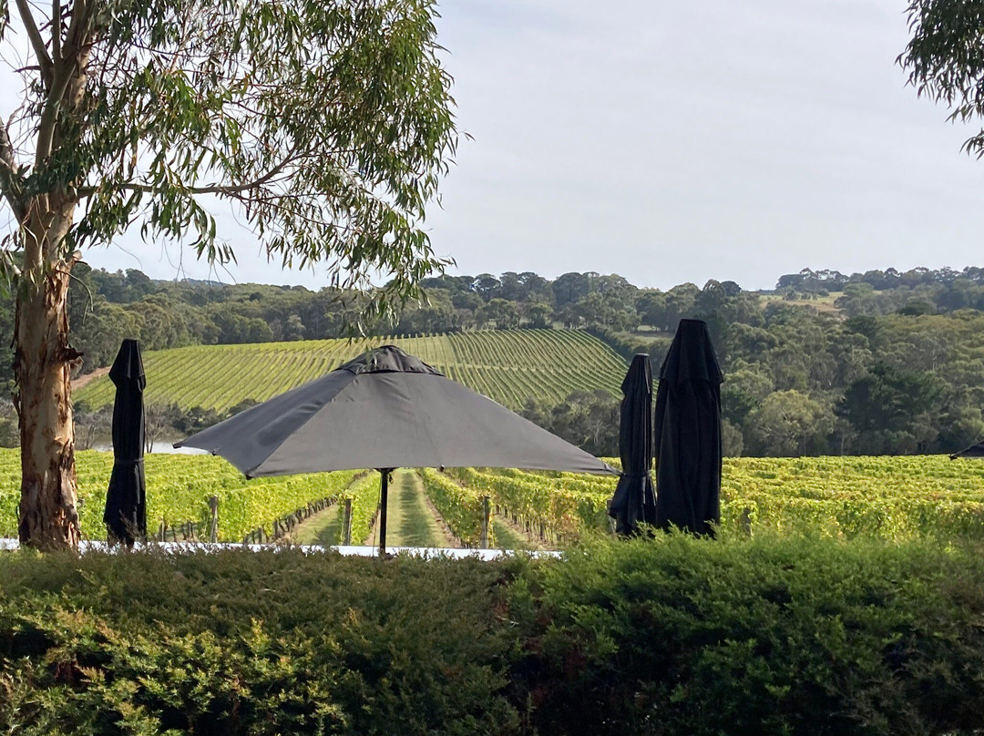 Jackalope Hotel主图