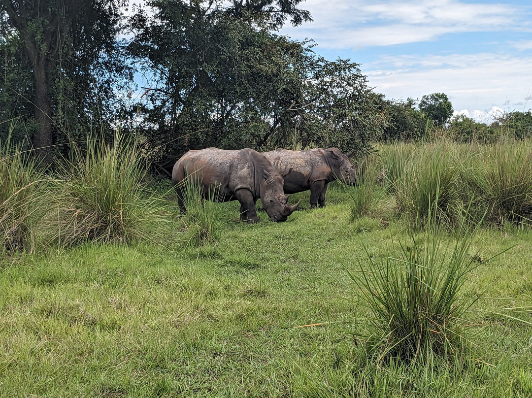 Muyaayu Wild Safaris-Mpigi必去景点