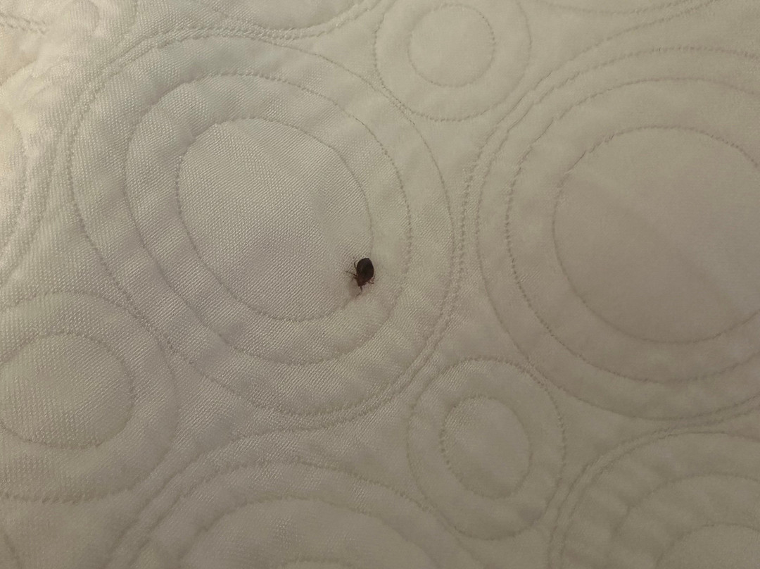 Home2 Suites by Hilton Grand Rapids North主图