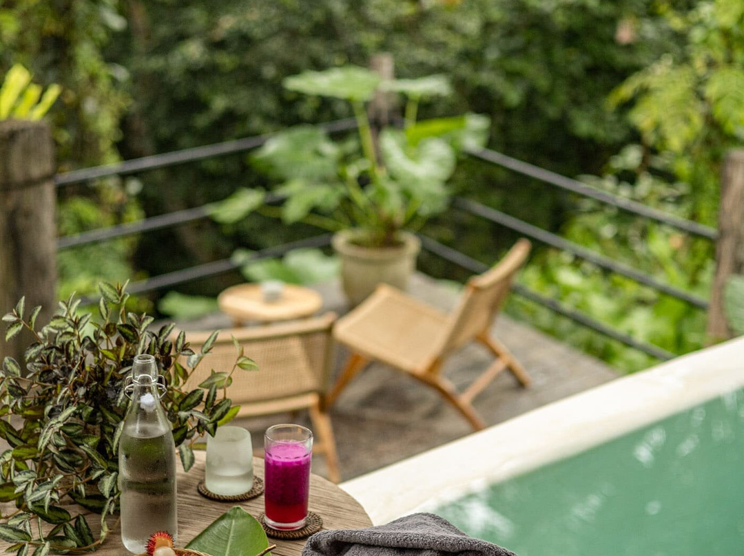 Casa Pohon Ubud主图