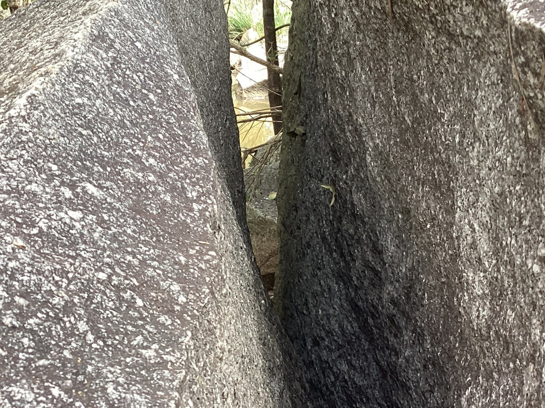 Coomba Falls-Maidenwell必去景点