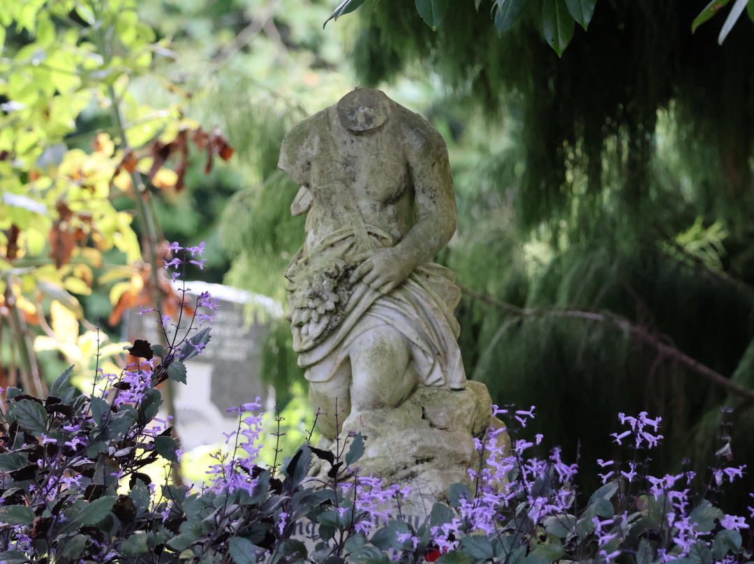 Te Henui Cemetery-新普利默斯必去景点