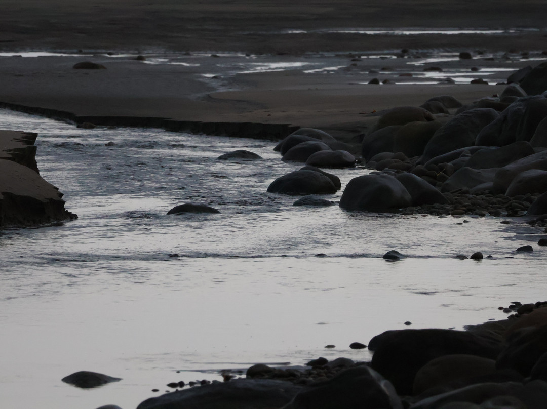New Plymouth Coastal Walkway-新普利默斯必去景点