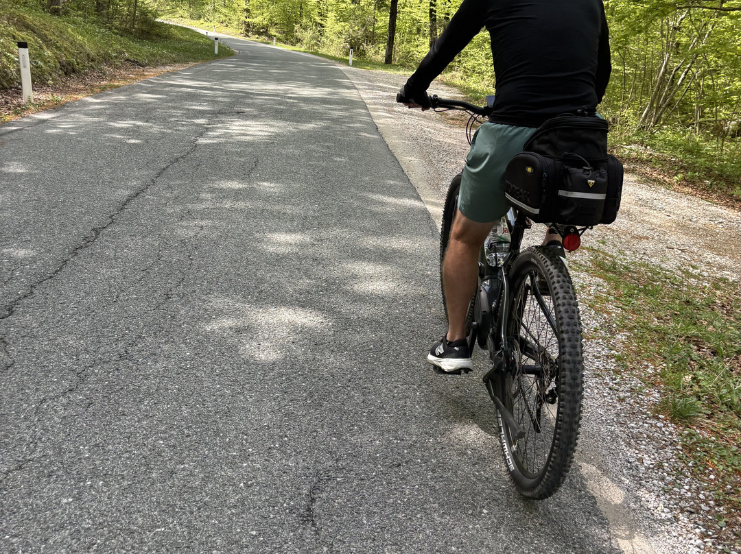 Hike&Bike Slovenia-博希尼湖必去景点