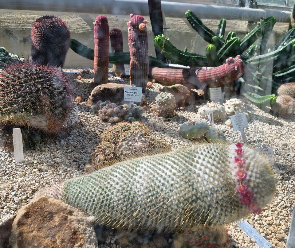 Botanischer Garten der Technischen Universitat Braunschweig景点图片