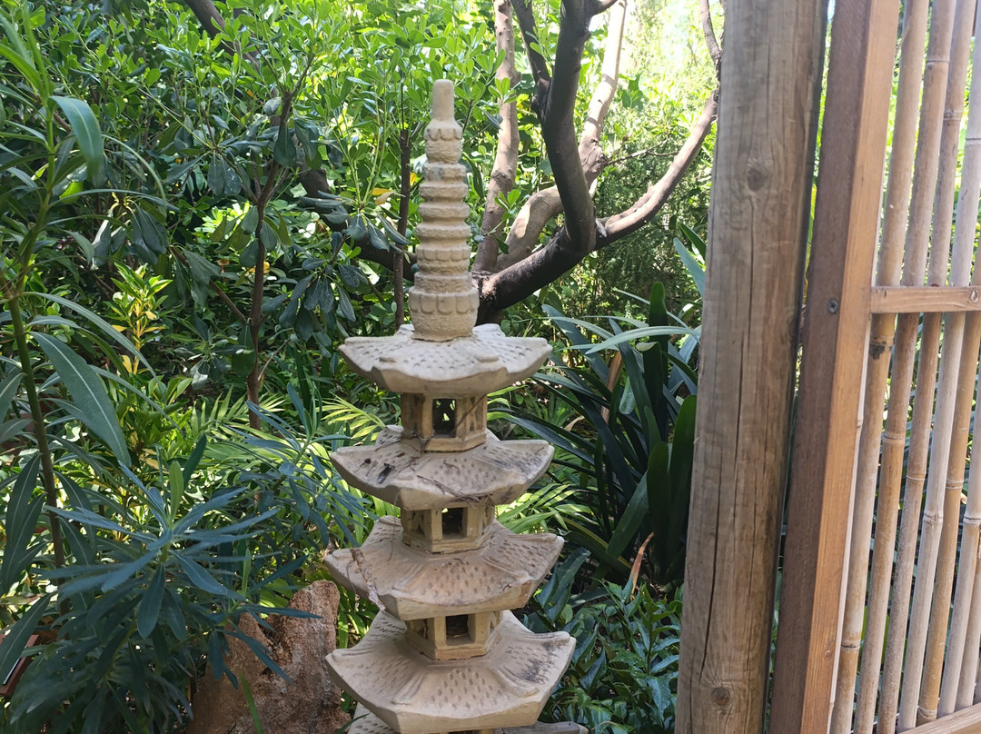 La Almunya del Sur Botanical Garden景点图片