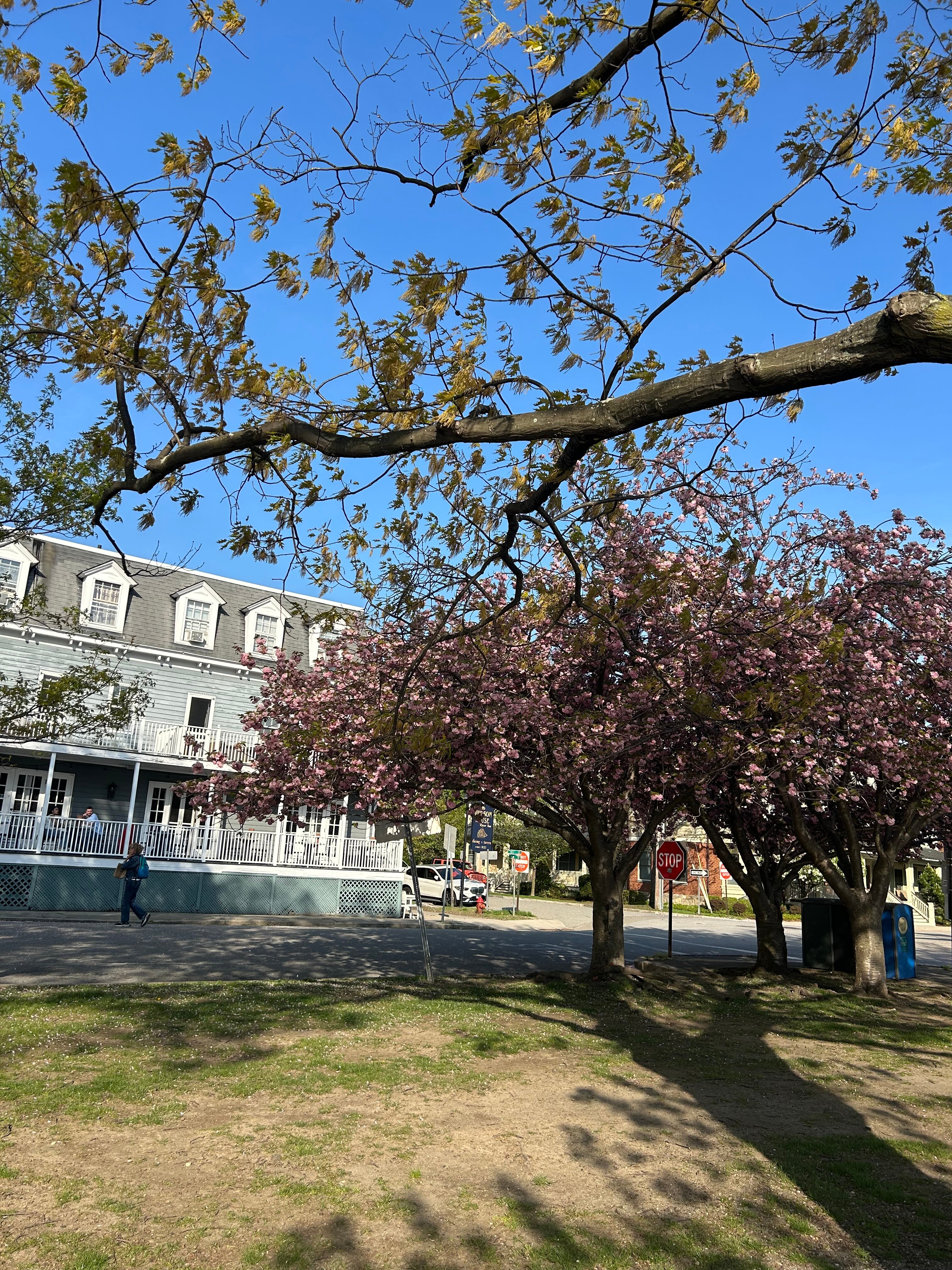 Hudson House River Inn-浴室