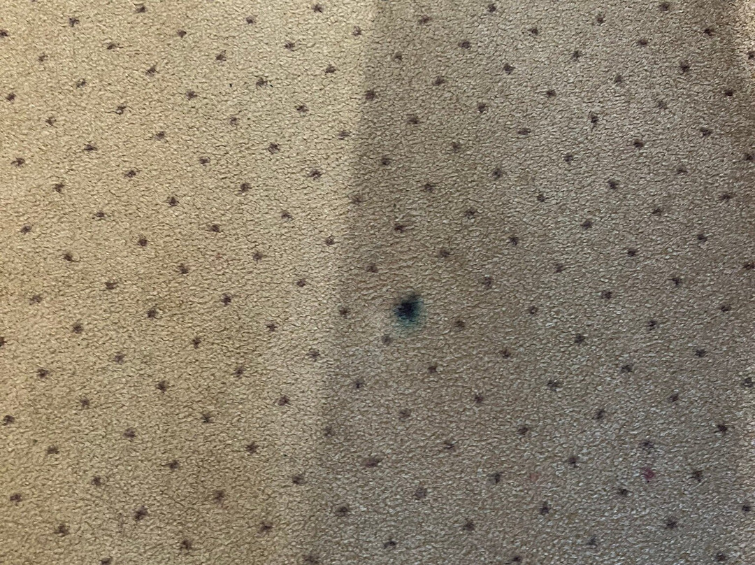 皇冠假日酒店&度假村主图