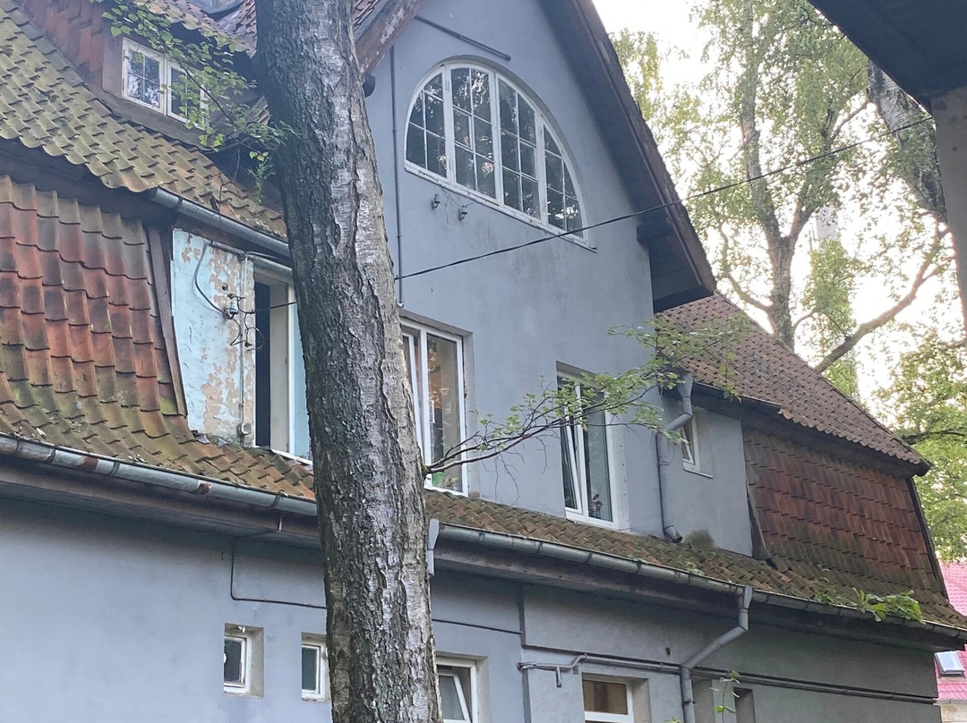 Villa Rosenhaus景点图片