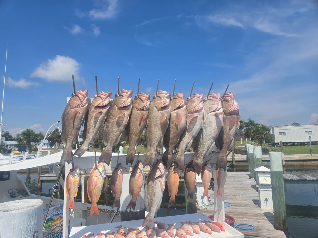 Man Overboard Charters-Cape Haze必去景点