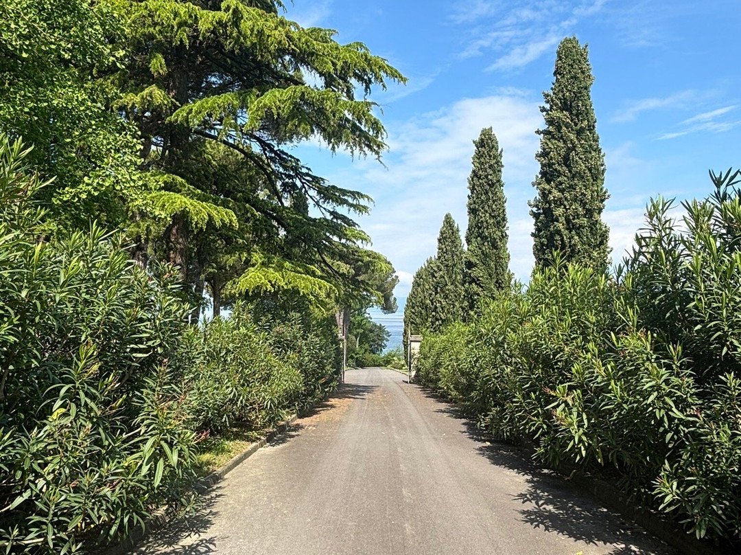 Villa Bagatta, Murari, Sterzi, Krieg景点图片
