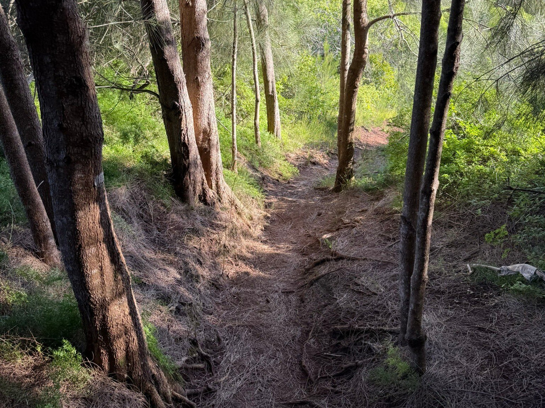 Hau'ula Loop Trail-哈乌乌拉必去景点