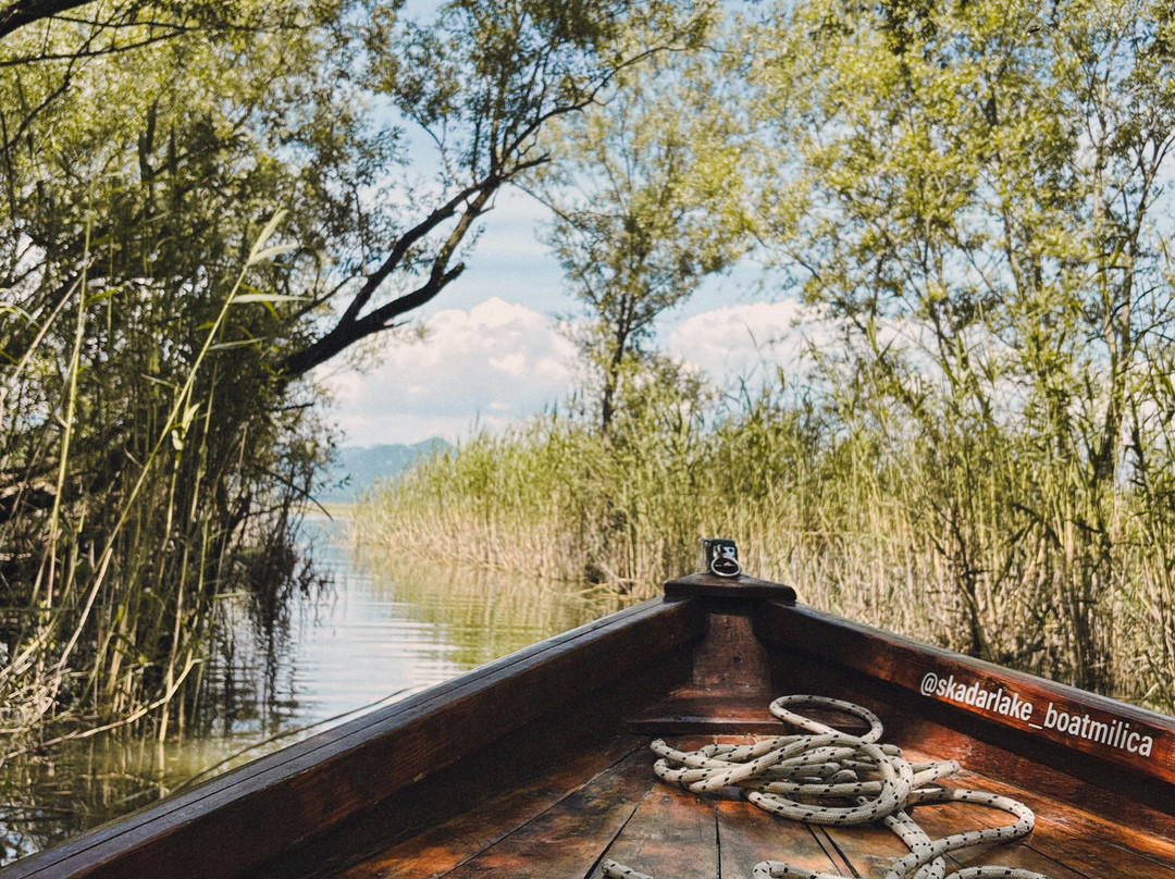 Boat Milica景点图片
