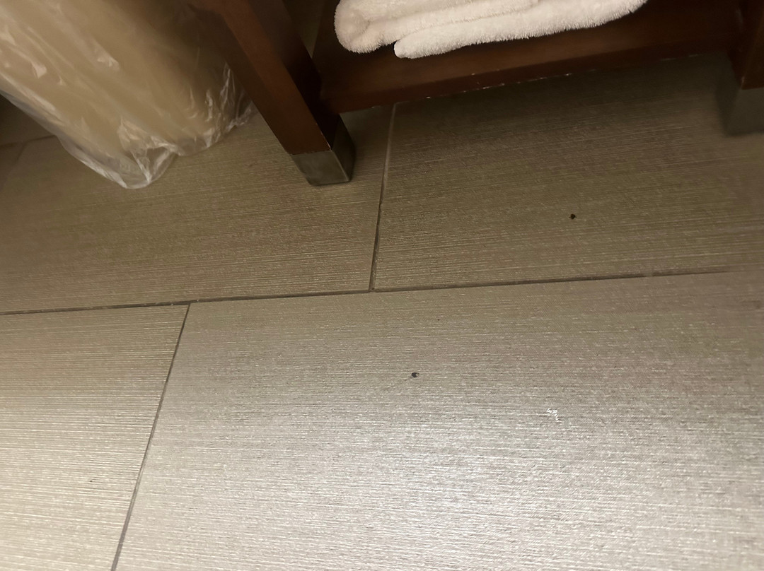 Comfort Inn Collinsville Near St. Louis主图