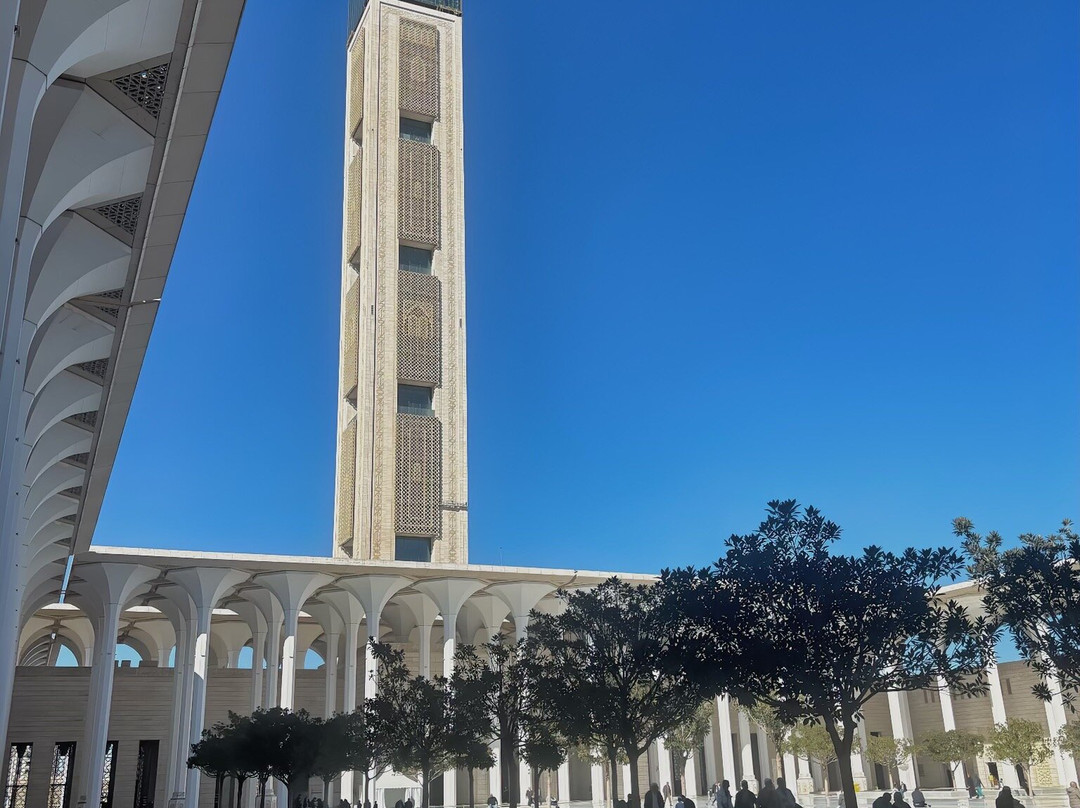 Djamaa el Djazaïr  - Great Mosque of Algiers-阿尔及尔必去景点
