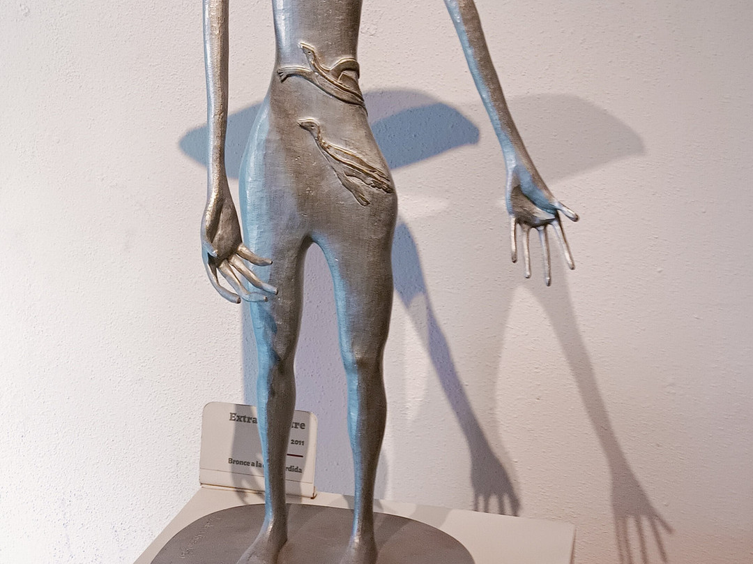 Museo Leonora Carrington-圣路易斯坡托西必去景点