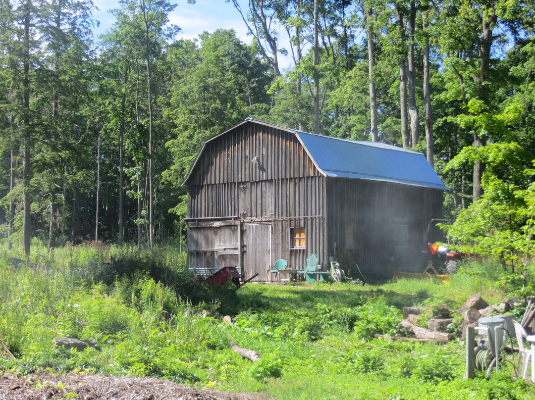 Dune Climb Inn主图