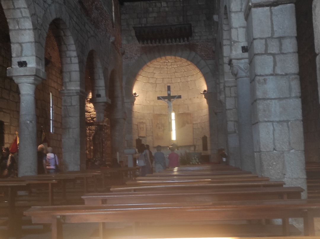 Museum Civitatense Basilica di San Simplicio-奥尔比亚必去景点