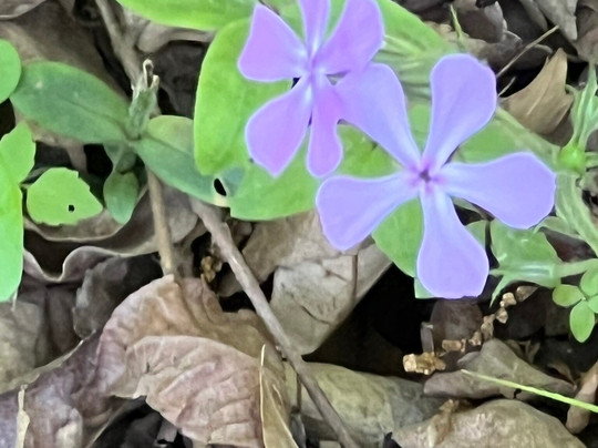 Weldon Springs State Park-Clinton必去景点