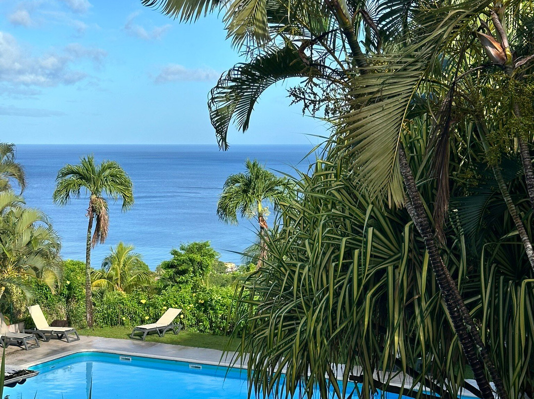 Le Jardin Tropical主图