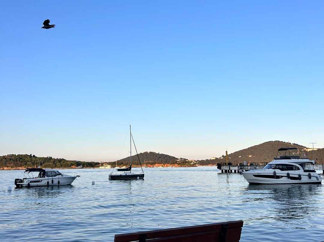 Burgazada-Princes' Islands必去景点