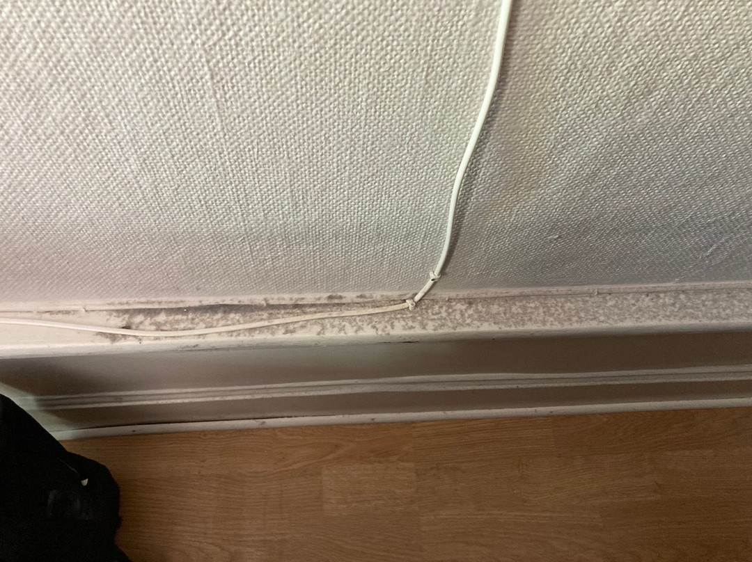 Värdshuset Engelbrekt主图