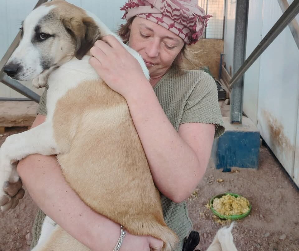 Al Rabee Society For Nature And Animal Protection-亚喀巴必去景点