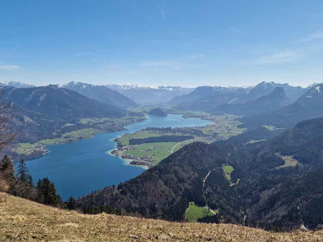 Zwölferhorn