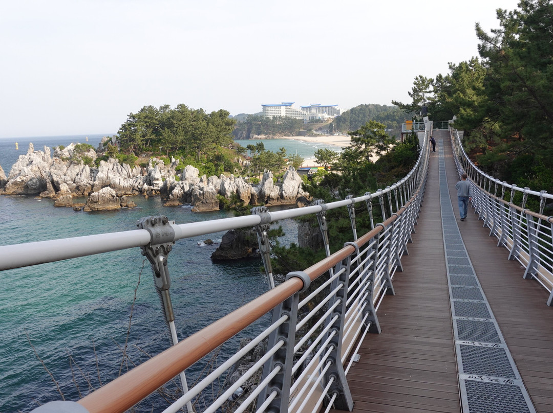 Chuam Suspension Bridge-东海市必去景点