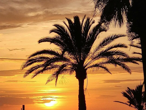 Halu Vietnam Tours-胡志明市必去景点