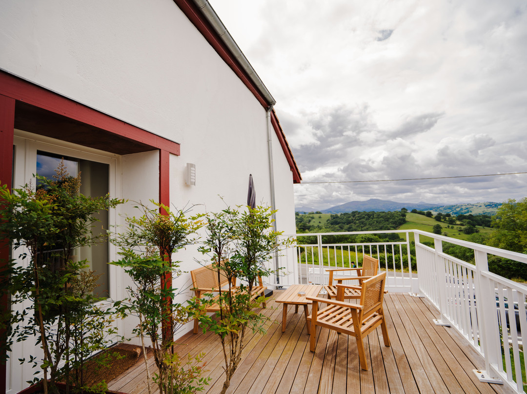 B&B Perbos 1556主图