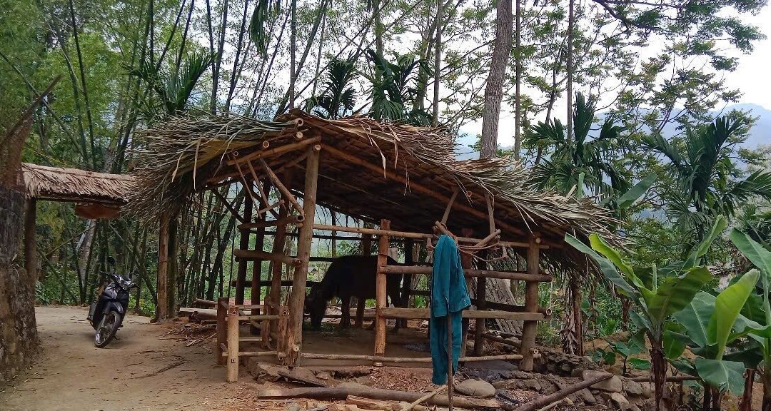 Pu Luong Ancient Stilt House景点图片