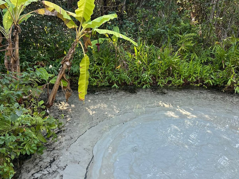 Conexão Cerrado - Turismo e Preservação-Palmas必去景点