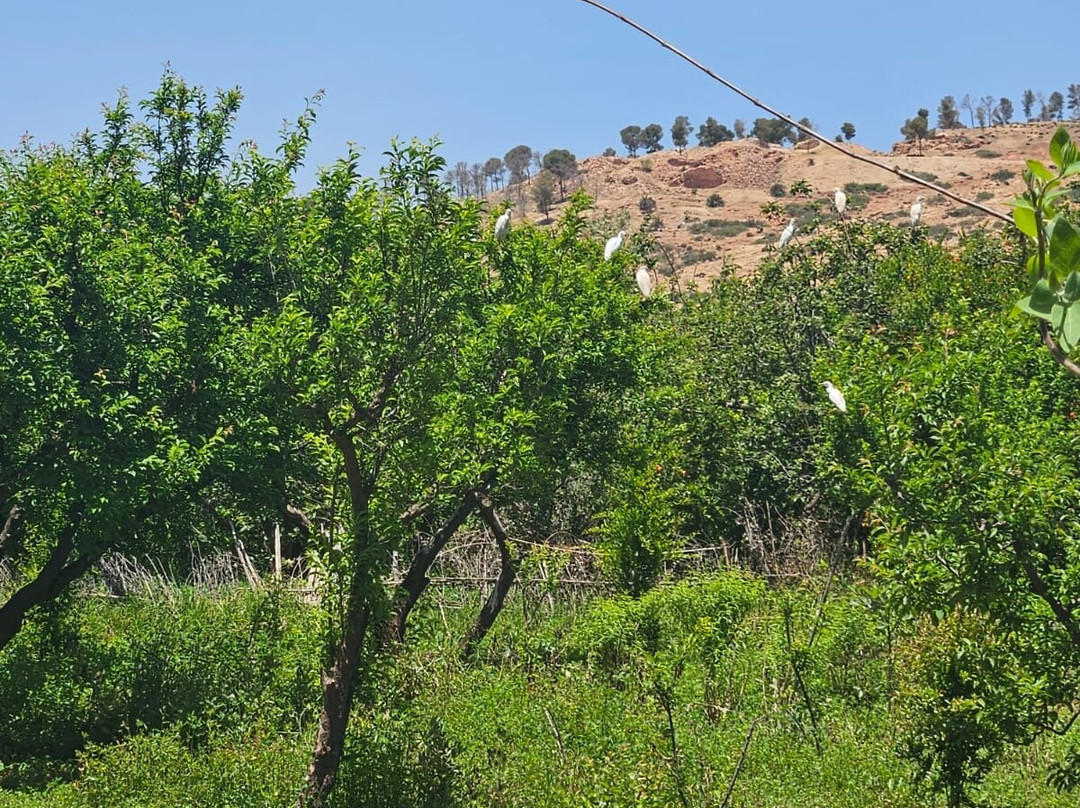 Ourika Trekking-Ourika必去景点