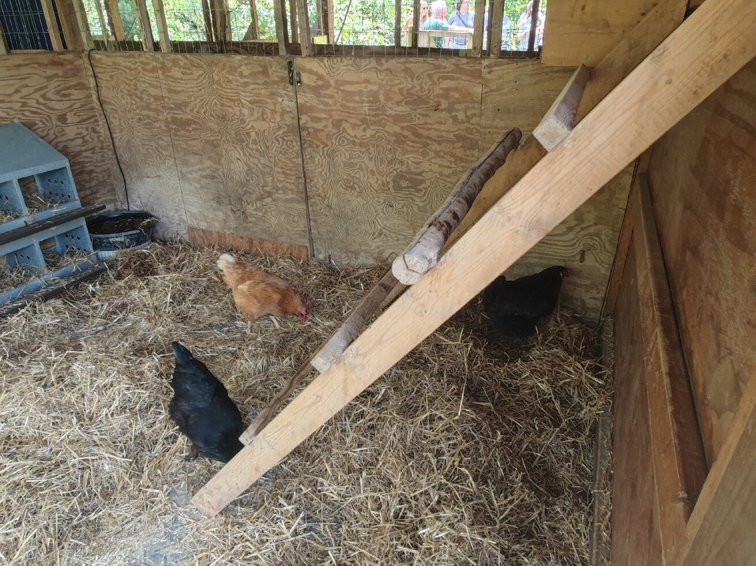 Piedmont Farm Animal Refuge-Pittsboro必去景点