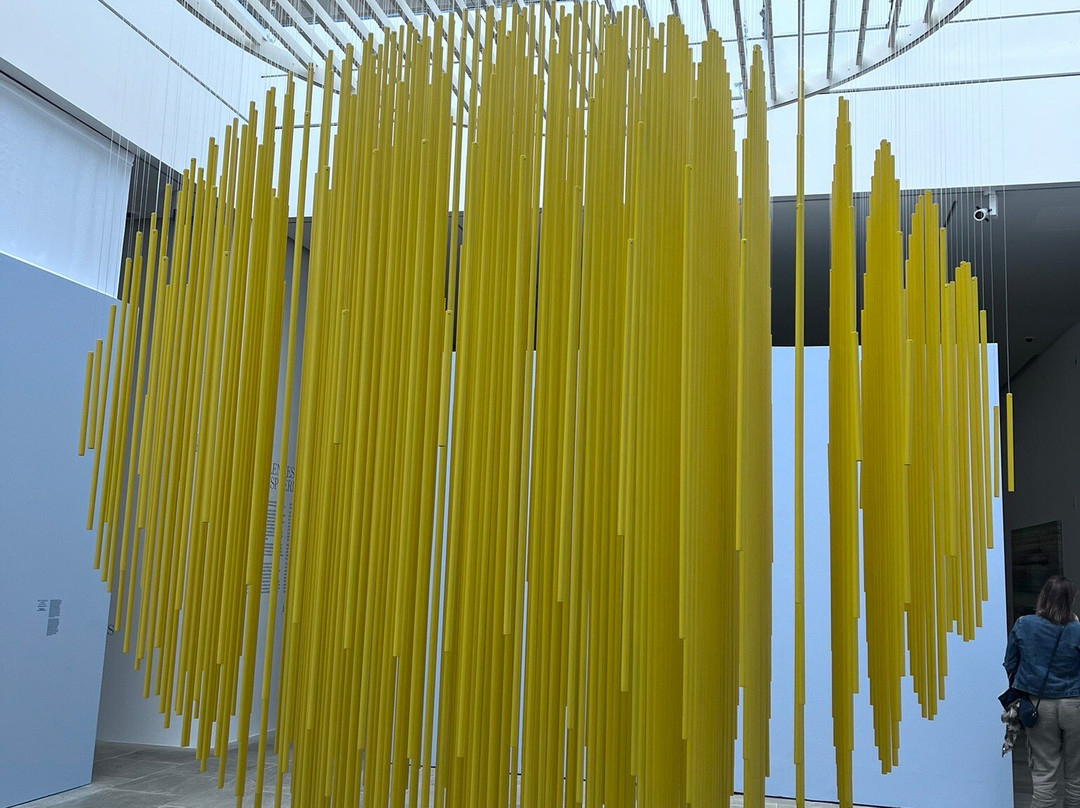 Fondation Carmignac景点图片