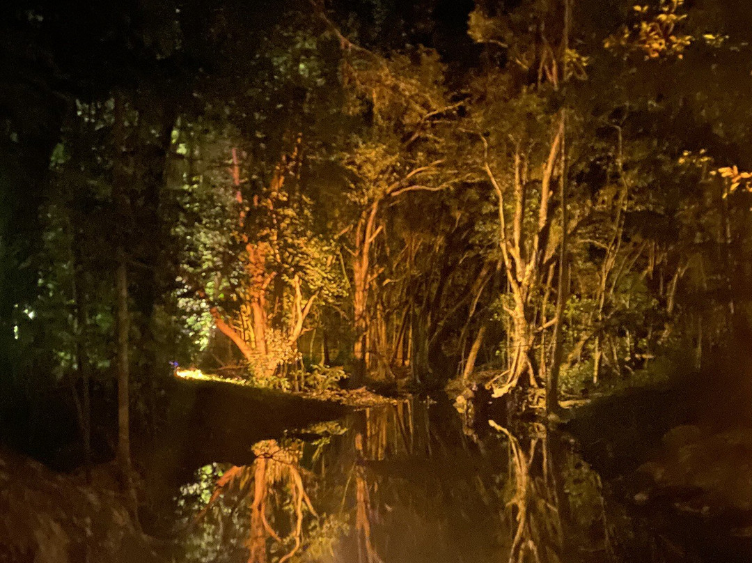 Flames of the Forest-道格拉斯港必去景点