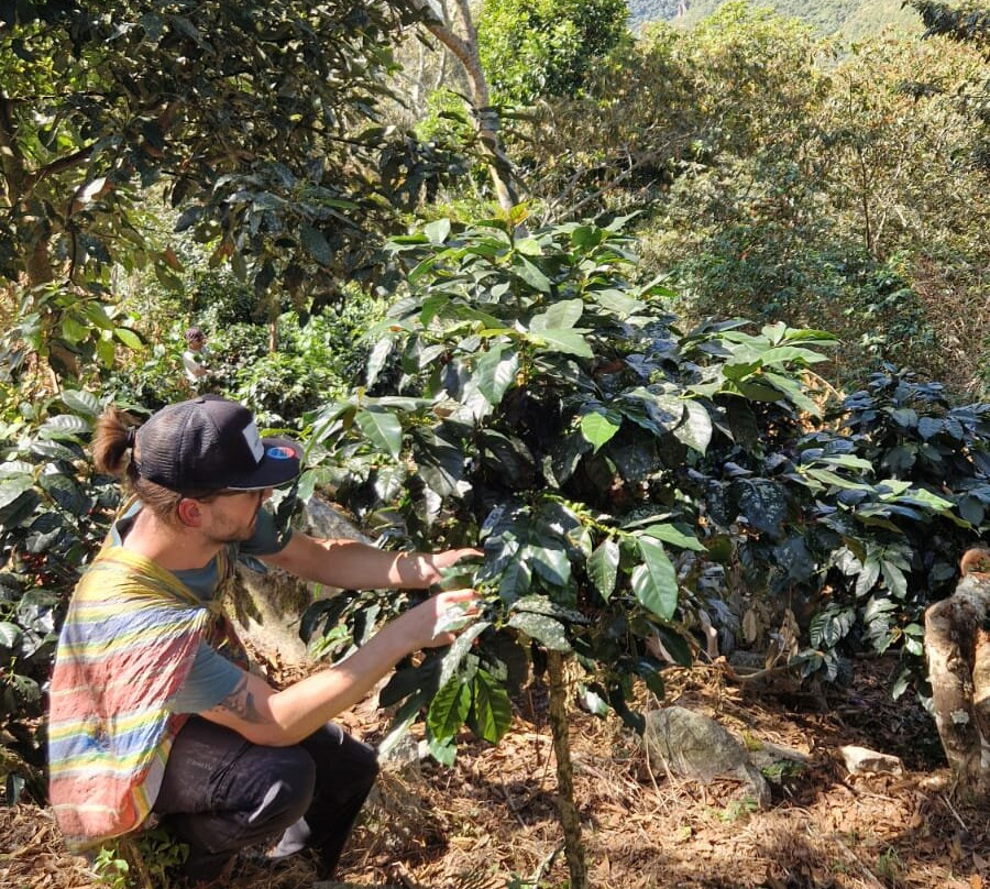 Onaya Peru Travel & Healing-Santa Teresa必去景点