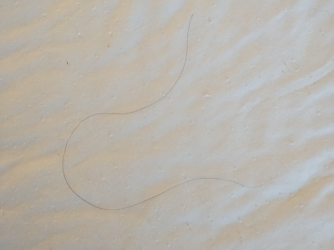 Days Inn by Wyndham Brampton主图