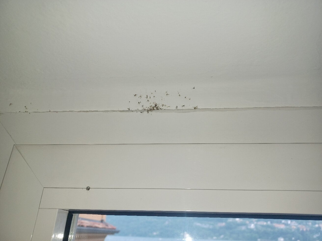 奥索布鲁诺酒店主图