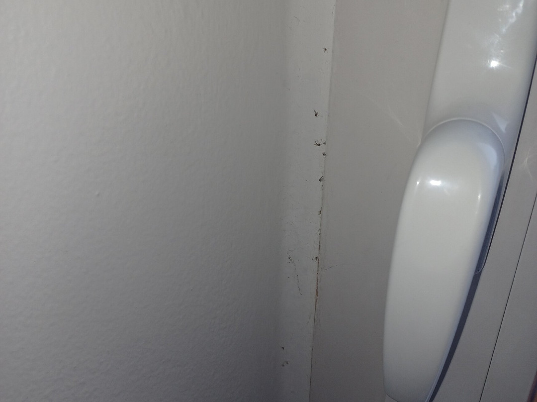 奥索布鲁诺酒店主图