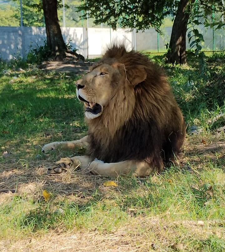 Granja Animalia-Xicotepec de Juarez必去景点