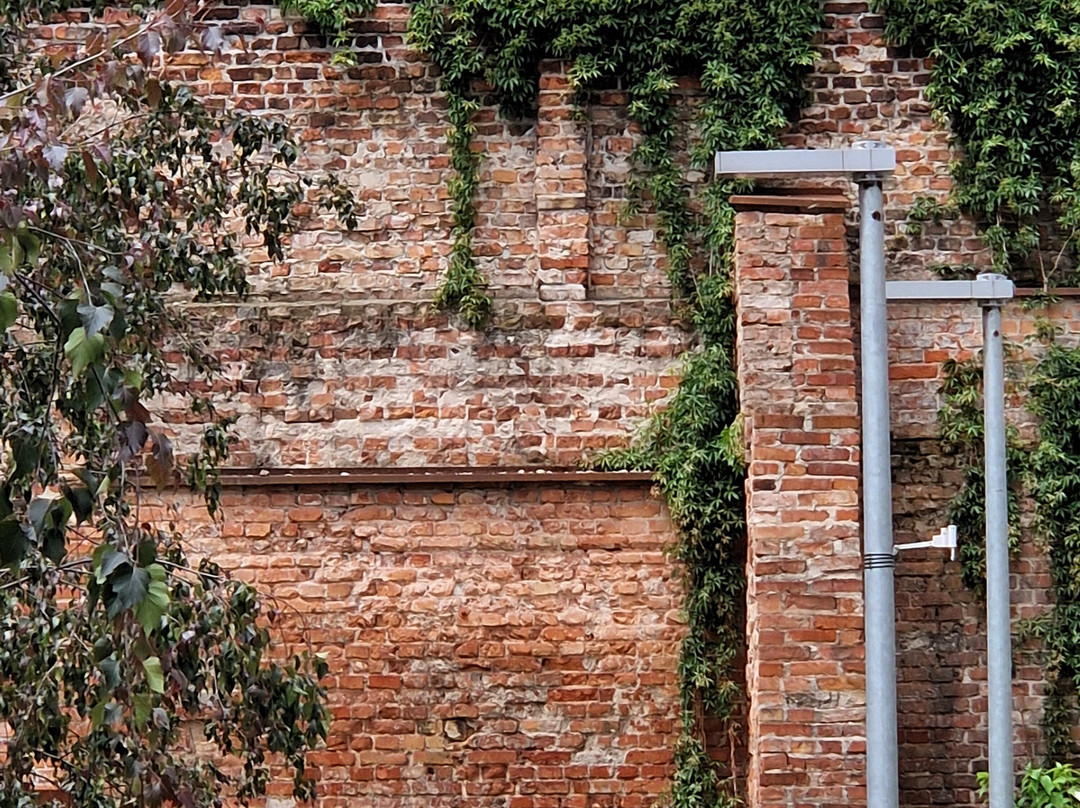 Fragment Of Ghetto Wall景点图片
